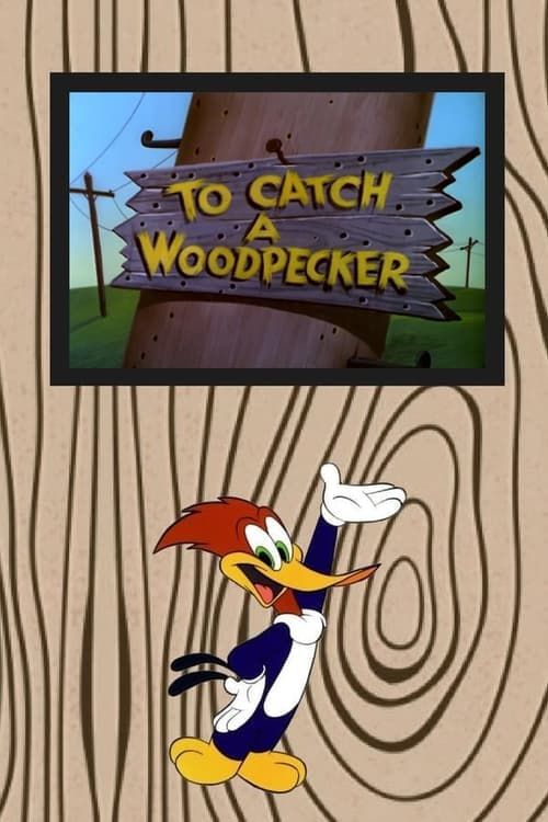 Key visual of To Catch a Woodpecker