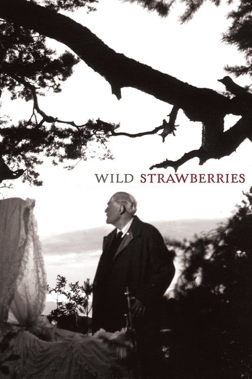 Key visual of Wild Strawberries
