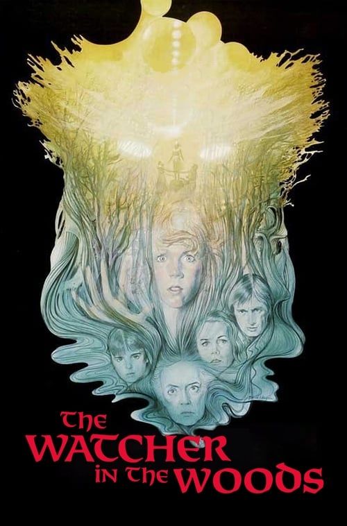Key visual of The Watcher in the Woods