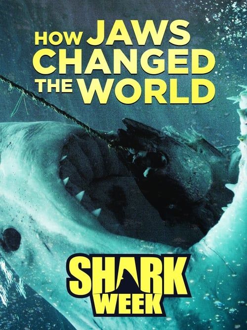 Key visual of How 'Jaws' Changed the World