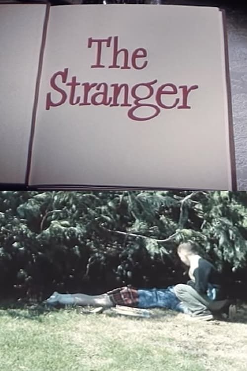 Key visual of The Stranger