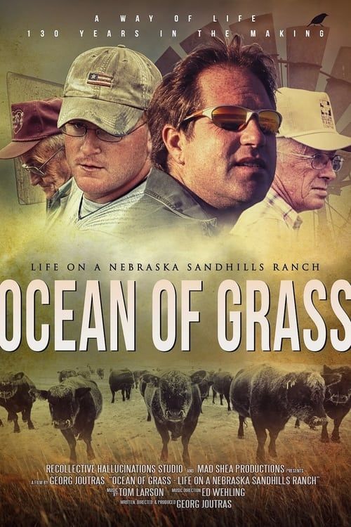 Key visual of Ocean of Grass: Life on a Nebraska Sandhills Ranch