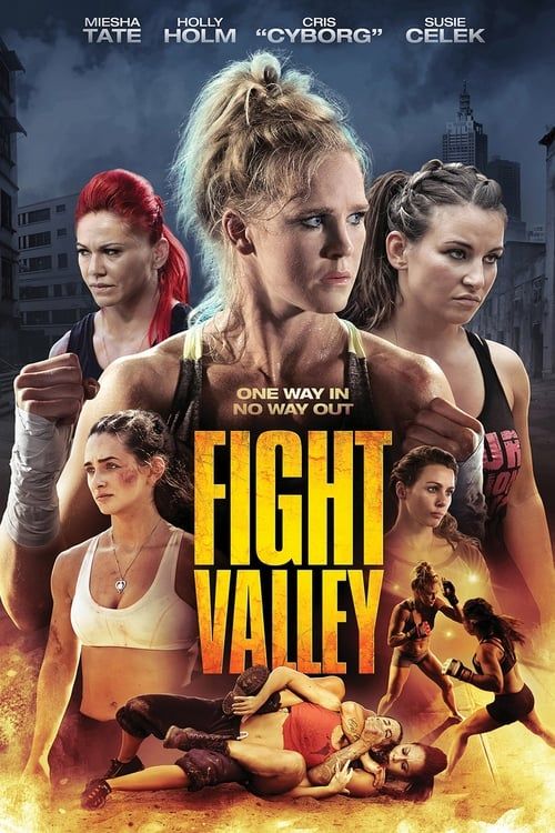 Key visual of Fight Valley