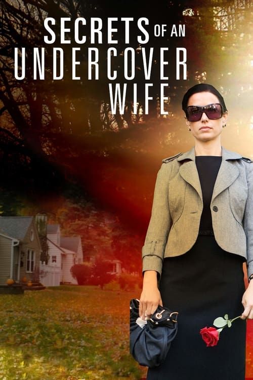 Key visual of Secrets of an Undercover Wife