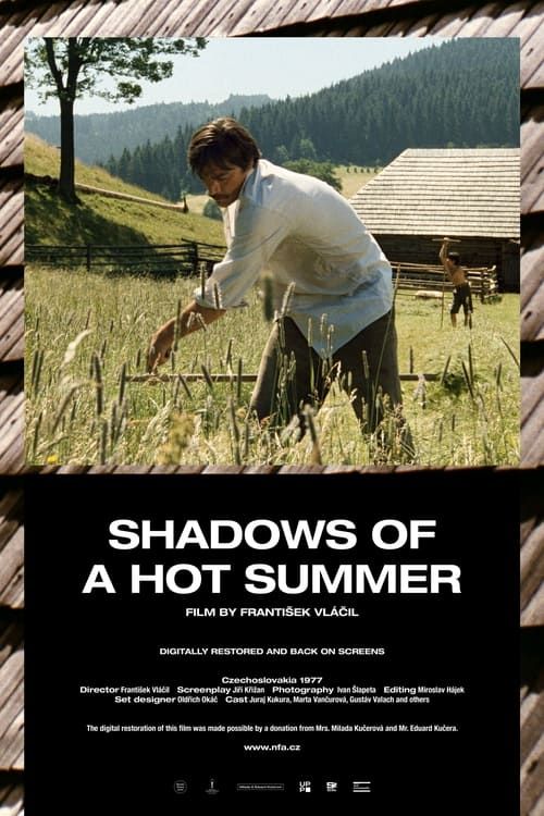 Key visual of Shadows of a Hot Summer