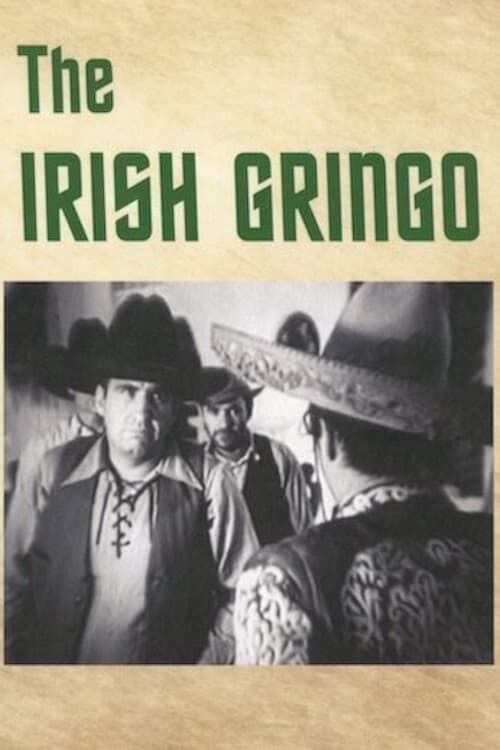 Key visual of The Irish Gringo