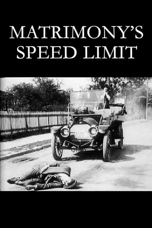 Key visual of Matrimony's Speed Limit