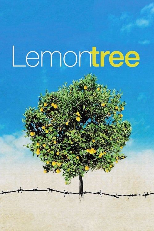 Key visual of Lemon Tree