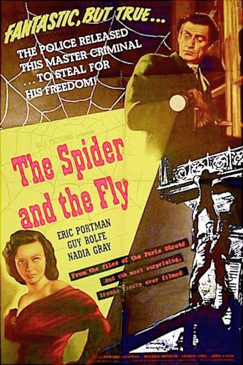 Key visual of The Spider and the Fly