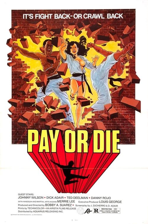 Key visual of Pay or Die