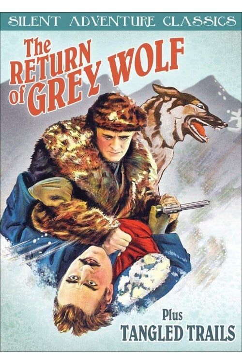 Key visual of The Return of Grey Wolf