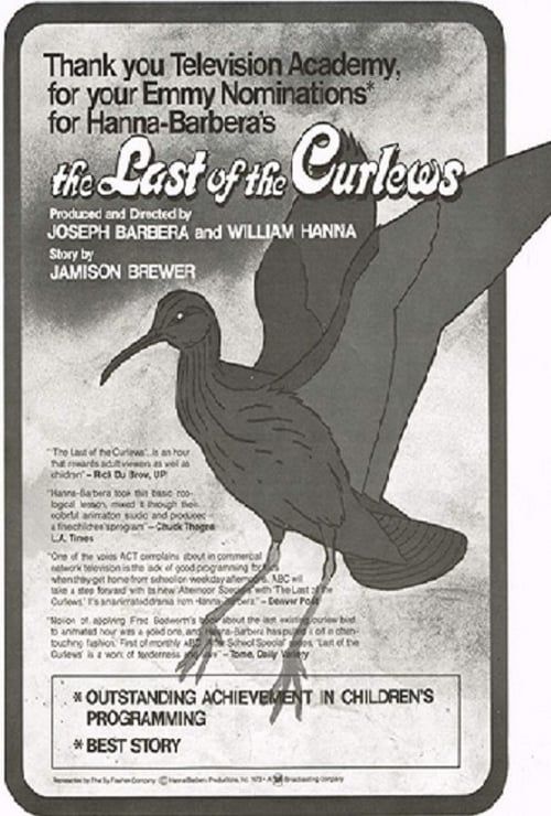 Key visual of The Last of the Curlews