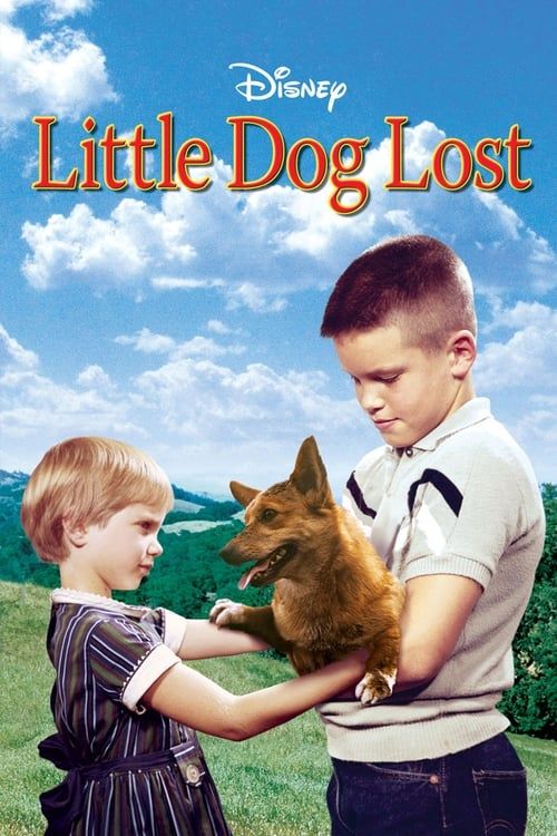 Key visual of Little Dog Lost