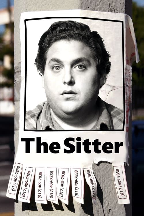 Key visual of The Sitter