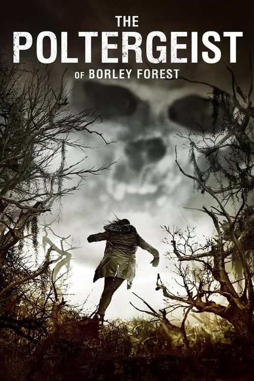 Key visual of The Poltergeist of Borley Forest