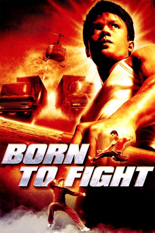 Key visual of Born to Fight