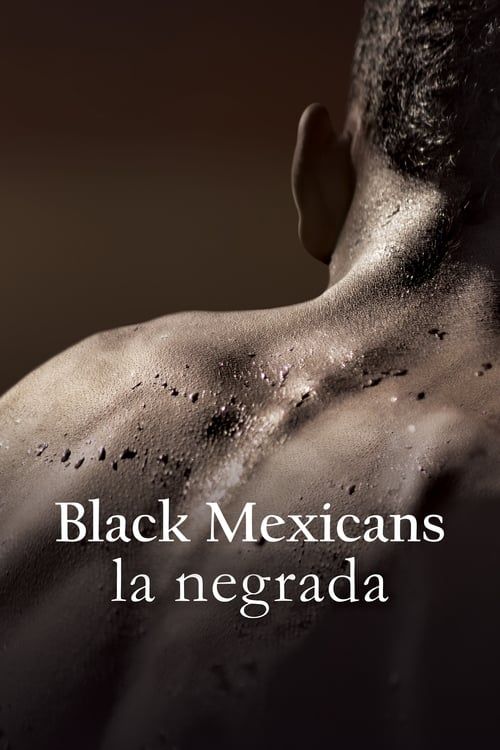 Key visual of Black Mexicans