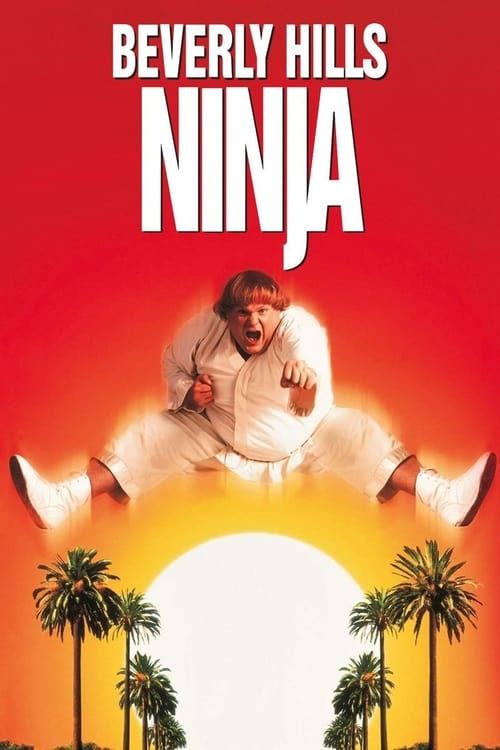 Key visual of Beverly Hills Ninja