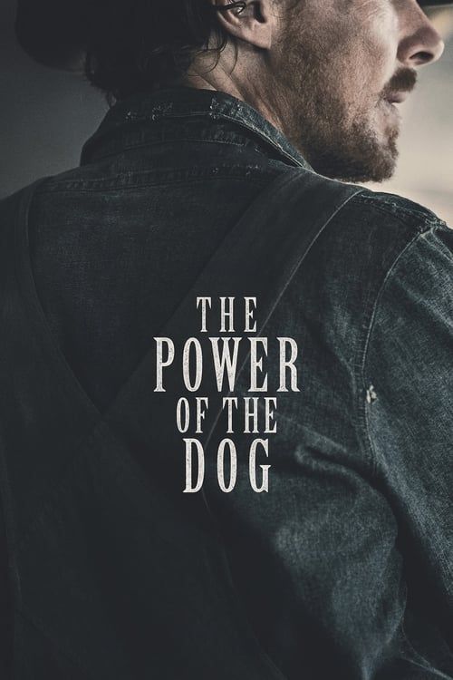 Key visual of The Power of the Dog