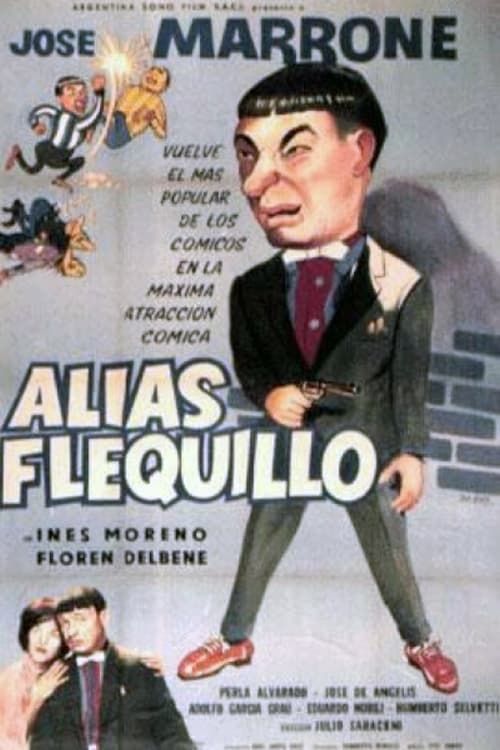 Key visual of Alias Flequillo