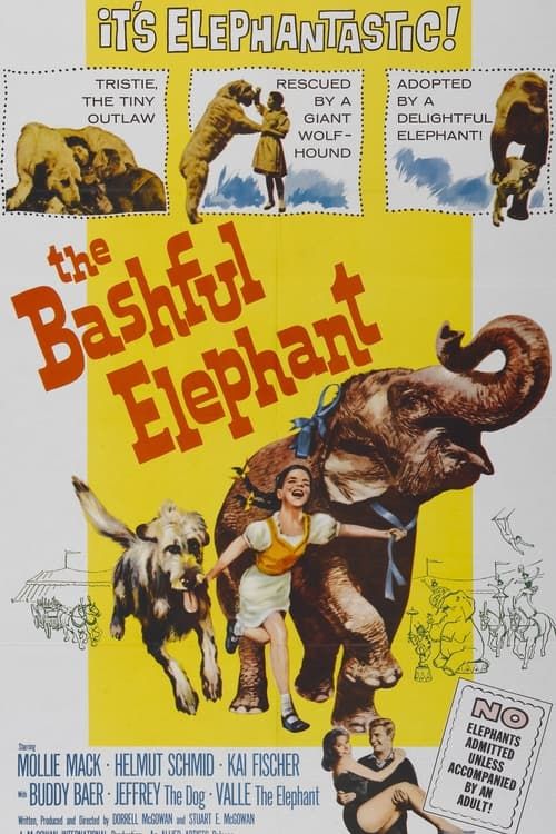 Key visual of The Bashful Elephant