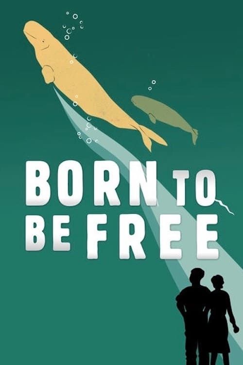 Key visual of Born to Be Free