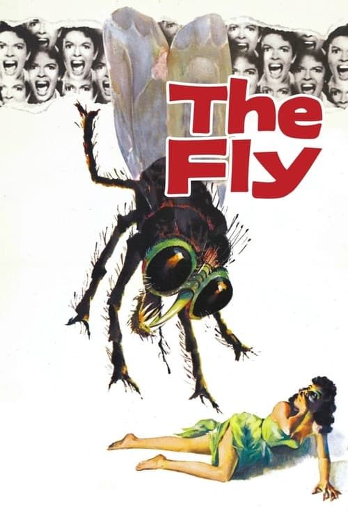 Key visual of The Fly