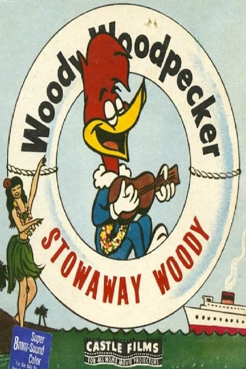 Key visual of Stowaway Woody