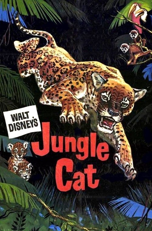 Key visual of Jungle Cat