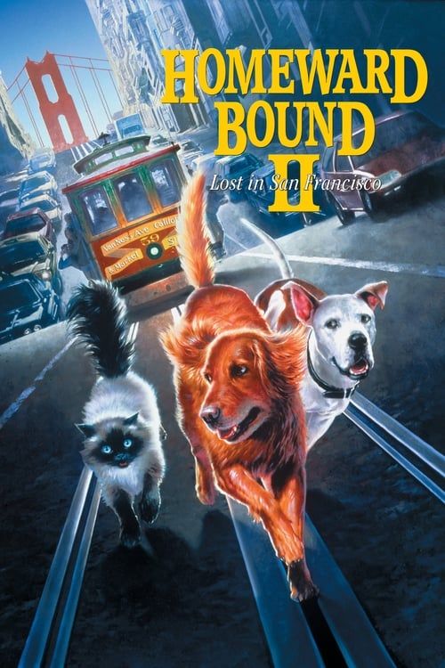 Key visual of Homeward Bound II: Lost in San Francisco