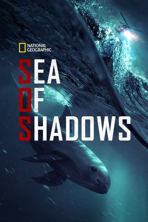 Key visual of Sea of Shadows