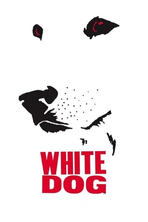 Key visual of White Dog