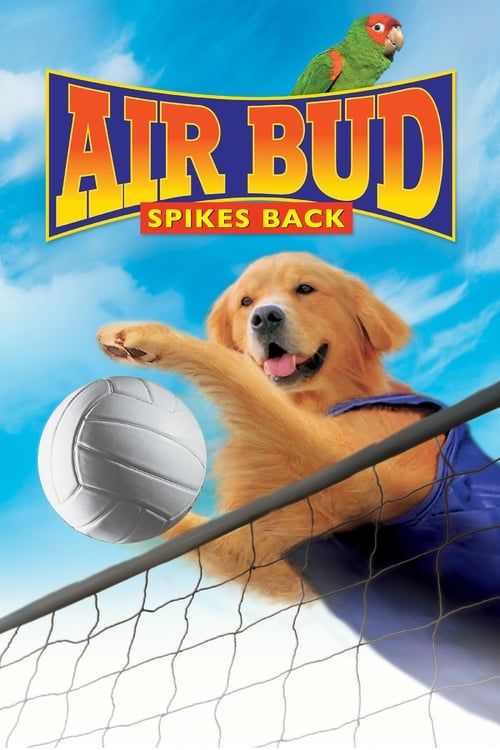 Key visual of Air Bud: Spikes Back