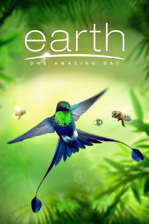 Key visual of Earth: One Amazing Day