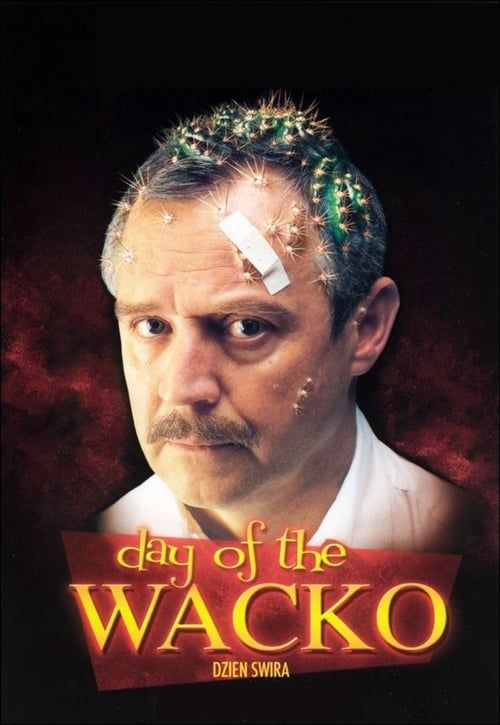 Key visual of Day of the Wacko