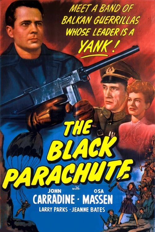 Key visual of The Black Parachute