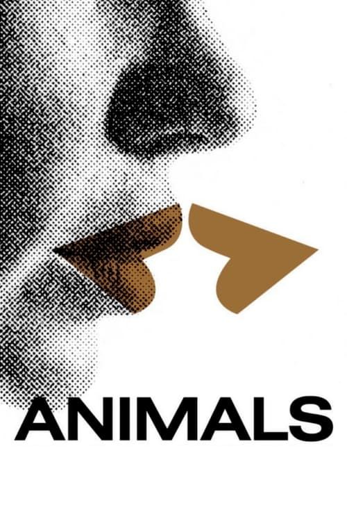Key visual of Animals
