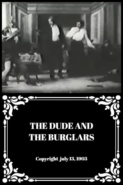 Key visual of The Dude and the Burglars