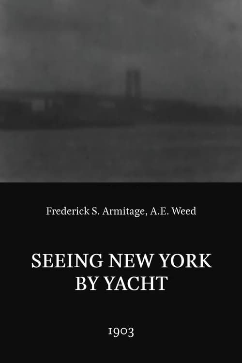 Key visual of Seeing New York by Yacht