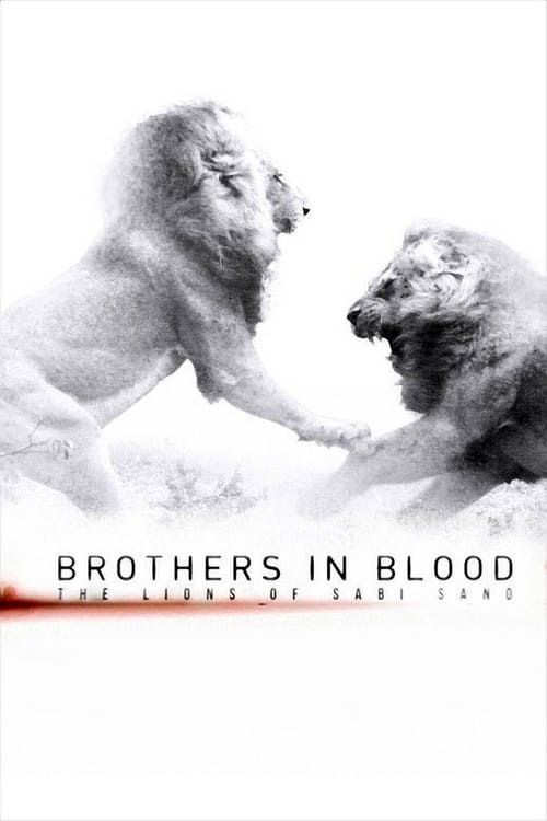Key visual of Brothers in Blood: The Lions of Sabi Sand
