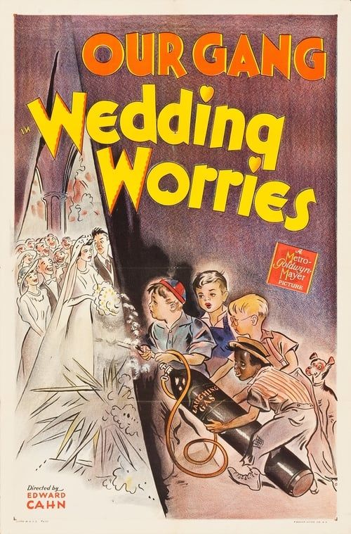 Key visual of Wedding Worries