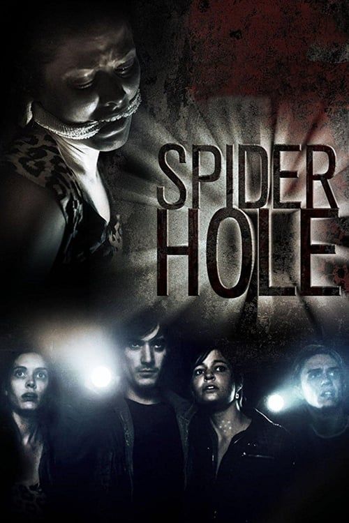 Key visual of Spiderhole