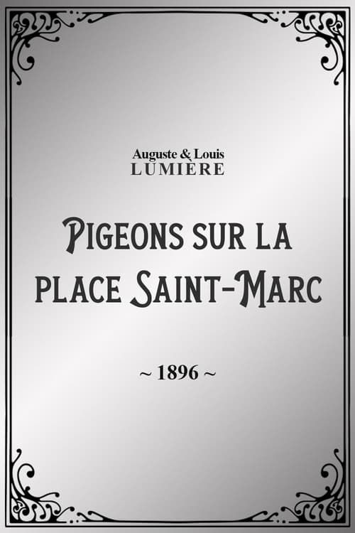 Key visual of Pigeons sur la place Saint-Marc