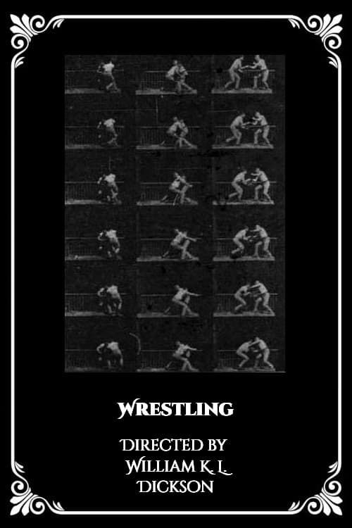 Key visual of Wrestling