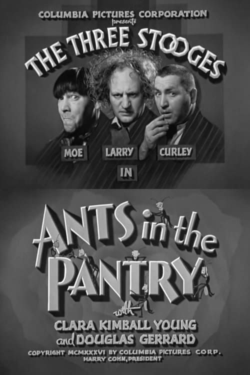 Key visual of Ants in the Pantry
