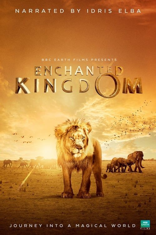 Key visual of Enchanted Kingdom