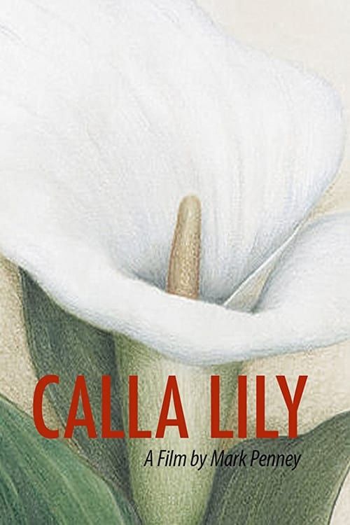 Key visual of Calla Lily