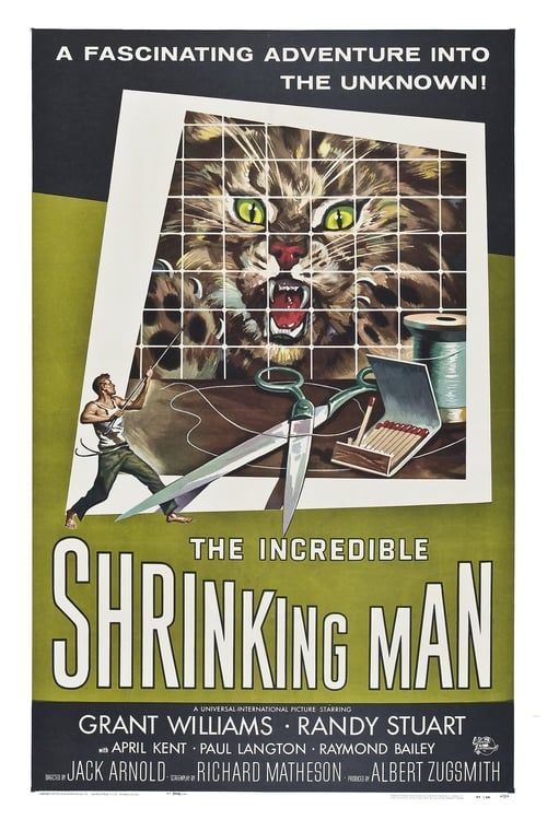 Key visual of The Incredible Shrinking Man