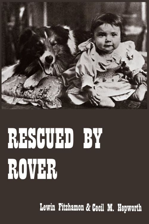 Key visual of Rescued by Rover