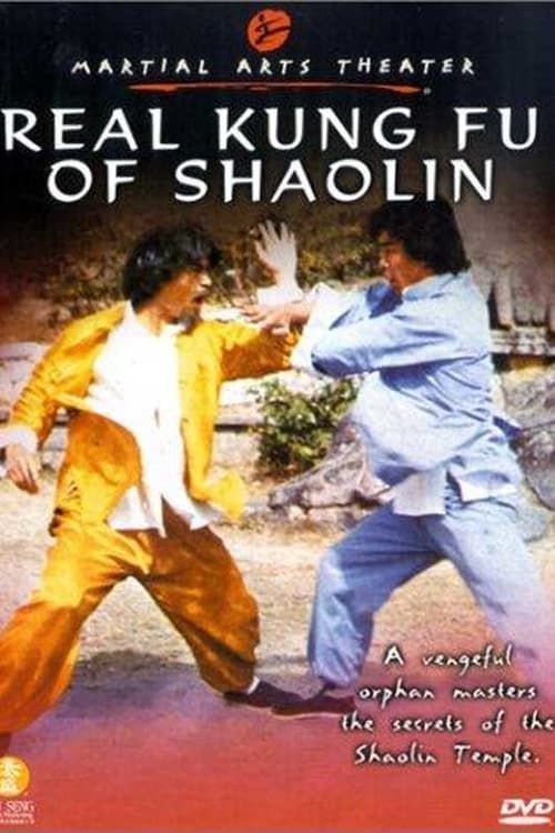 Key visual of Real Kung Fu Of Shaolin